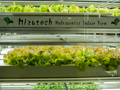 Mizutech Hydroponics