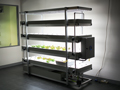2m long 4-deck hydroponics shelf